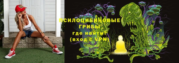 ПСИЛОЦИБИНОВЫЕ ГРИБЫ Алексеевка